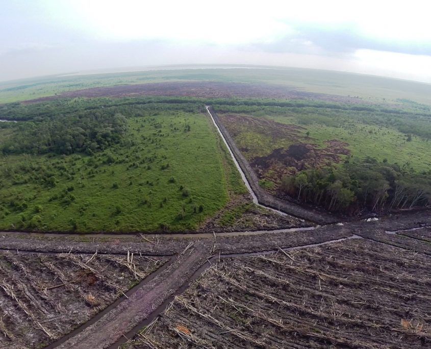 Fig. 07. Drone photograph of deforested rainforest in Kalimantan (Indonesian Borneo) for the purpose of planting a new oil palm plantation. Courtesy of WALHI.