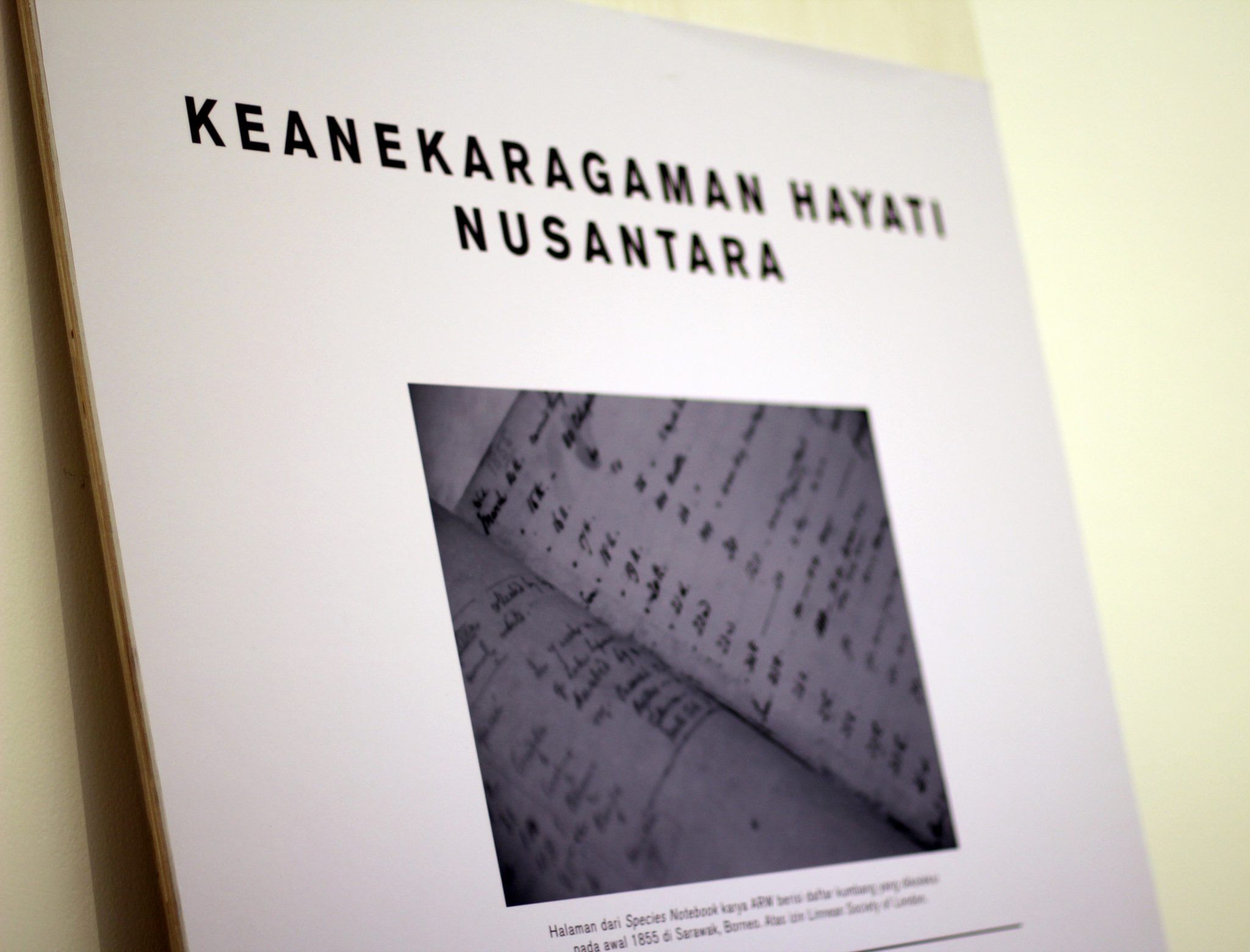 Fig.21.Nusantara_01