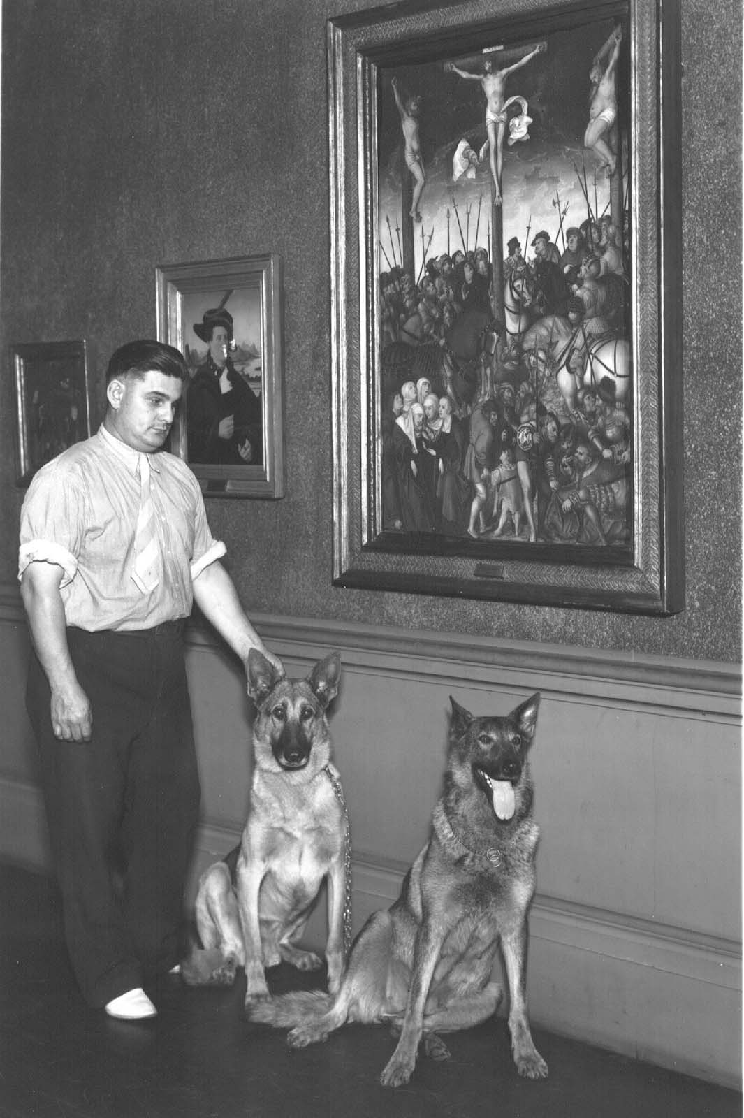Figure 9 - Billo and Bella, museum guard dogs, with trainer in painting galleries, The Art Institute of Chicago, 1941. Museum reference #C13946. Photographer: not recorded.