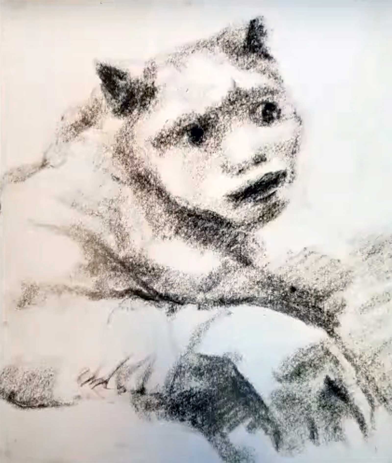 Chekrygin sketches