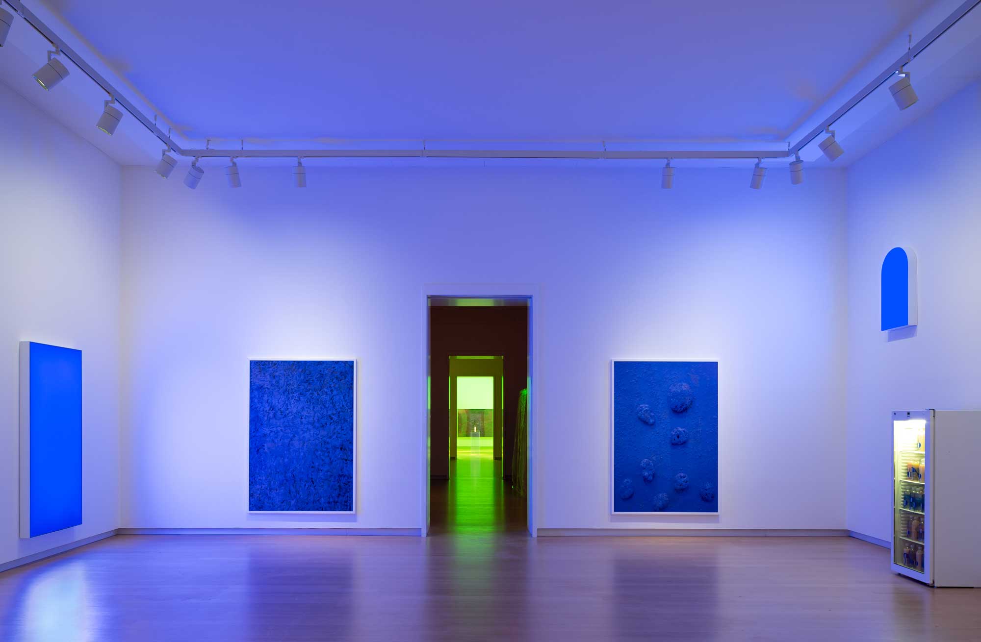 Installation view, Pamela Rosenkranz – Liquid Body, Stedelijk Museum Amsterdam, 2025. Courtesy the artist, Karma International, Sprüth Magers and Miguel Abreu Gallery. Photo: Peter Tijhuis