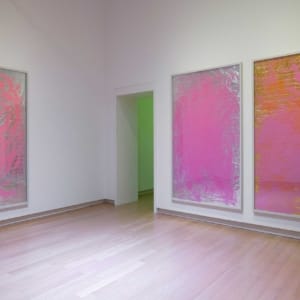 Installation view, Pamela Rosenkranz – Liquid Body, Stedelijk Museum Amsterdam, 2025. Courtesy the artist, Karma International, Sprüth Magers and Miguel Abreu Gallery. Photo: Peter Tijhuis