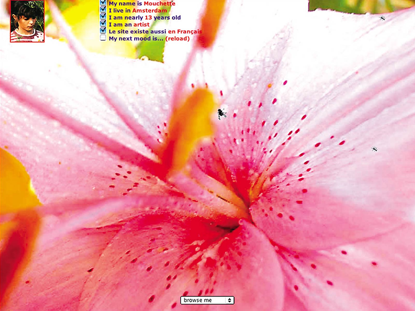 Figure 4. Martine Neddam, Mouchette.org: Version 1.0, 1996, interactive website. Collective purchase of the Stedelijk Museum Amsterdam and MOTI. The purchase on the part of the Stedelijk Museum is generously supported by the Tijl Aankoop Fonds and a private donor, 2016.