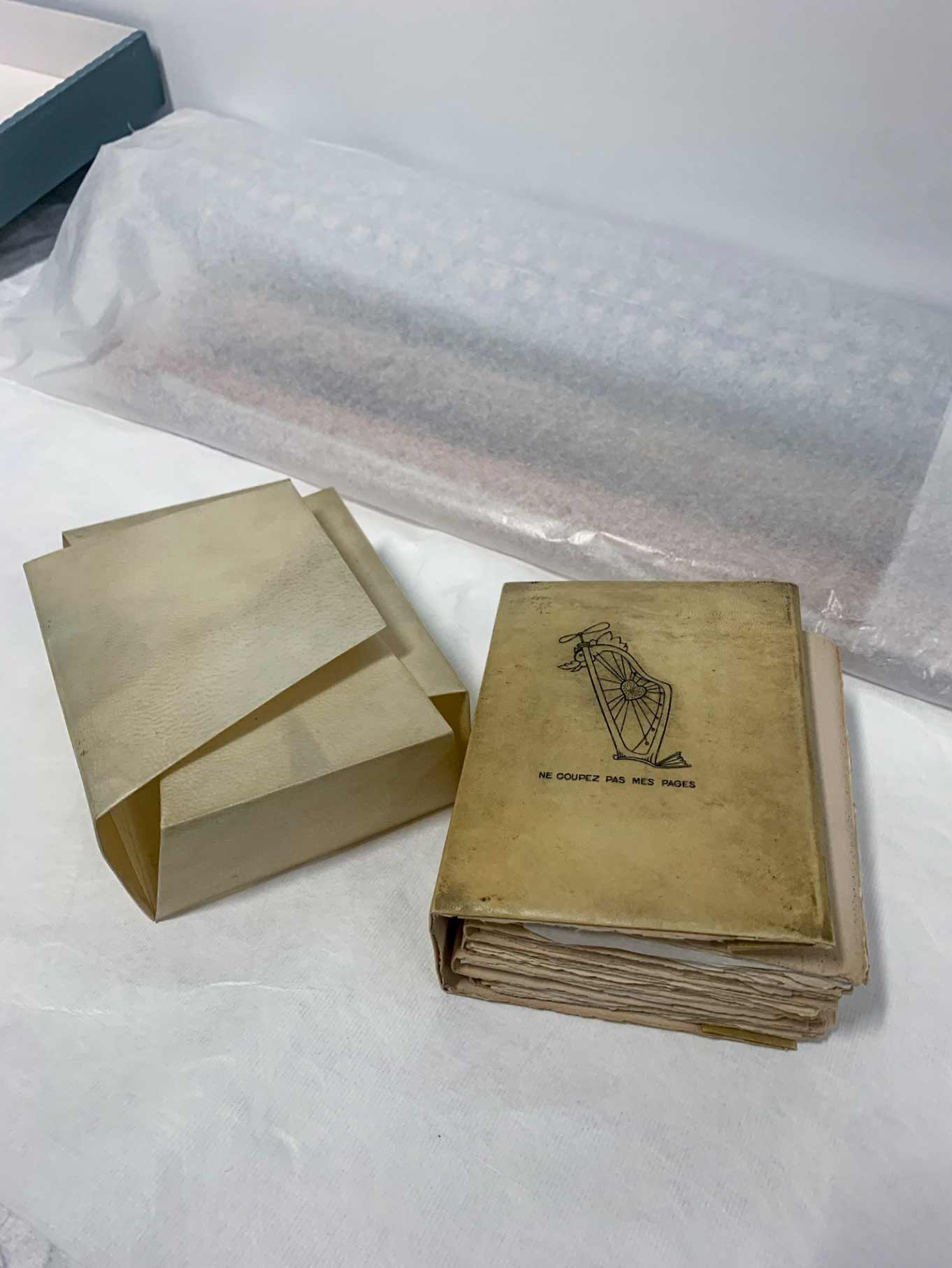 Fig. 1. Iliazd, Poésie de mots inconnus (Paris: 41°, 1949). On the left: the bookcase; on the right: the cover containing five smaller “books.” From the collection of the Stedelijk Museum Amsterdam, on loan from the Khardzhiev-Chaga Foundation. Photograph by the author.